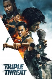 Watch Free Triple Threat Full Movies Bflix