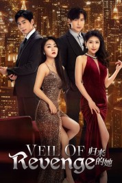 Watch Free Veil of Revenge Full Movies Bflix