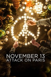 Watch Free November 13: Attack on Paris Full Movies Bflix