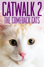 Watch Free Catwalk 2: The Comeback Cats Full Movies Bflix