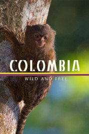 Watch Free Colombia - Wild and Free Full Movies Bflix