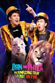 Watch Free Dan and Phil's The Amazing Tour is Not on Fire Full Movies Bflix