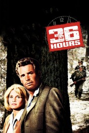 Watch Free 36 Hours Full Movies Bflix