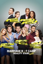 Watch Free Marriage Boot Camp: Reality Stars Full Movies Bflix