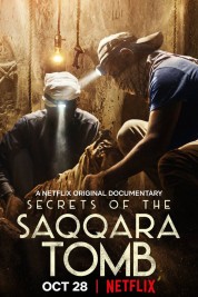 Watch Free Secrets of the Saqqara Tomb Full Movies Bflix