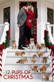 Watch Free 12 Pups of Christmas Full Movies Bflix