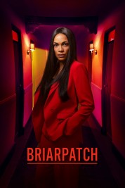 Watch free Briarpatch HD online