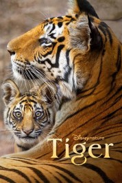 Watch Free Tiger Full Movies Bflix