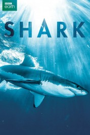 Watch Free Shark Full Movies Bflix