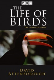 Watch Free The Life of Birds Full Movies Bflix