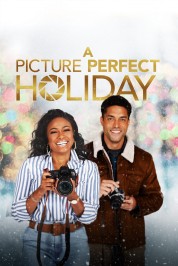 Watch Free A Picture Perfect Holiday Full Movies Bflix