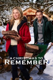 Watch Free A Christmas to Remember Full Movies Bflix