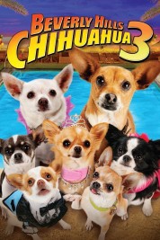 Watch Free Beverly Hills Chihuahua 3 - Viva La Fiesta! Full Movies Bflix