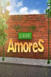 Calle Amores 2019