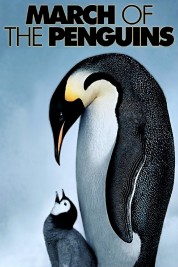 Watch Free March of the Penguins Full Movies Bflix