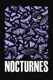 Nocturnes 2024