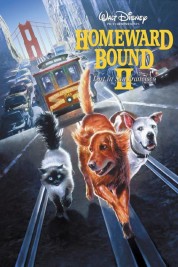 Watch Free Homeward Bound II: Lost in San Francisco Full Movies Bflix