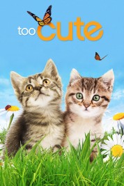 Watch Free Too Cute Full Movies Bflix