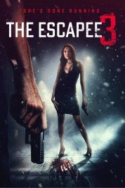 Watch Free The Escapee 3: The Final Escape Full Movies Bflix