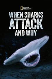 Watch Free When Sharks Attack... and Why Full Movies Bflix