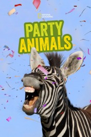 Watch free Party Animals HD online