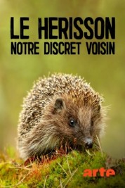 Le hérisson, notre discret voisin 2019