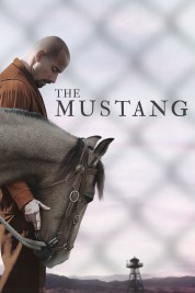 Watch Free The Mustang Full Movies Bflix