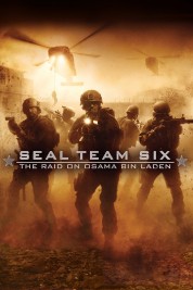 Watch free Seal Team Six: The Raid on Osama Bin Laden HD online