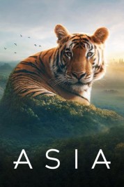 watch free Asia hd online