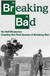 Watch Free No Half Measures: Creating the Final Season of Breaking Bad Movies HD Online Soap2Day