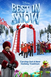 Watch Free Best in Snow Full Movies Bflix