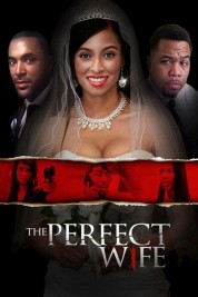 Watch Free The Perfect Wife Full Movies Bflix