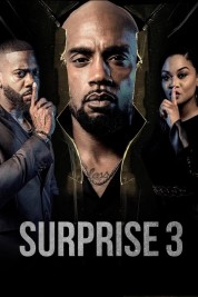 Watch Free Surprise 3 Full Movies Bflix