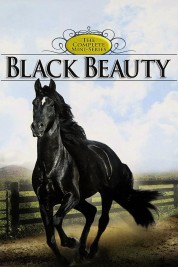 Black Beauty 1978