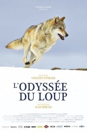 L'odysée du loup 2019