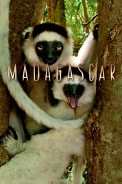 Watch Free Madagascar Full Movies Bflix