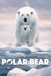 Watch Free Polar Bear Full Movies Bflix