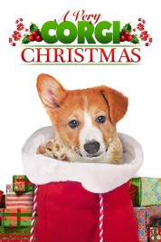 Watch Free A Very Corgi Christmas Full Movies Bflix