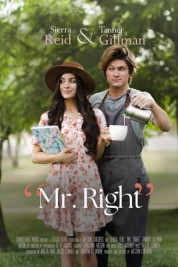 Watch Free Mr. Right Full Movies Bflix