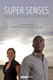 Watch Free Super Senses: The Secret Power of Animals Full Movies Bflix