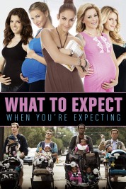 Watch Free What to Expect When You're Expecting Full Movies Bflix