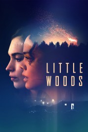 Watch Free Little Woods Full Movies Bflix