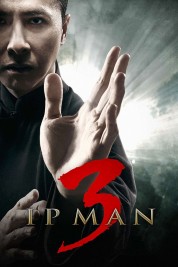 Watch Free Ip Man 3 Full Movies Bflix