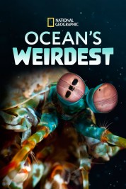 Watch free Ocean's Weirdest HD online