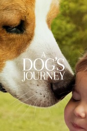 Watch Free A Dog's Journey Full Movies Bflix