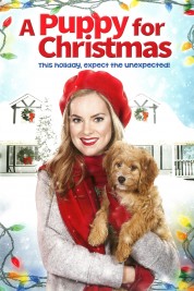 Watch Free A Puppy for Christmas Full Movies Bflix