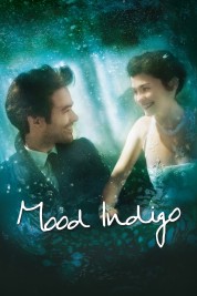 Mood Indigo 2013