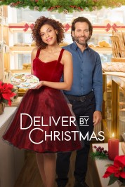 Watch free Deliver by Christmas HD online