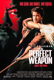 Watch Free The Perfect Weapon Full Movies Bflix