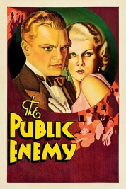 Watch Free The Public Enemy Full Movies Bflix